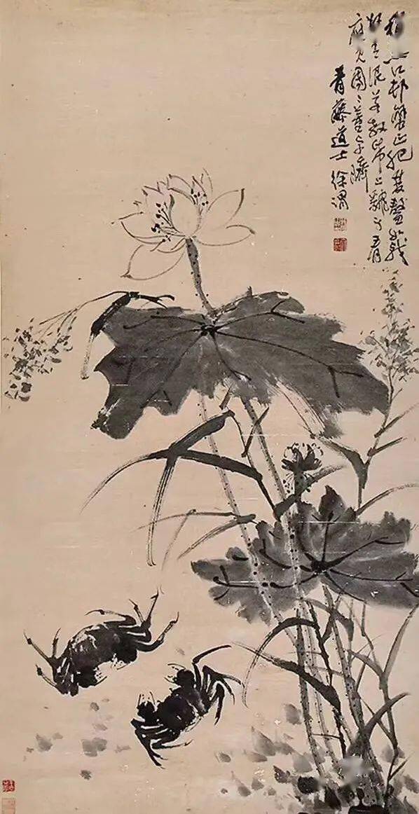 徐渭荷花作品欣赏图片