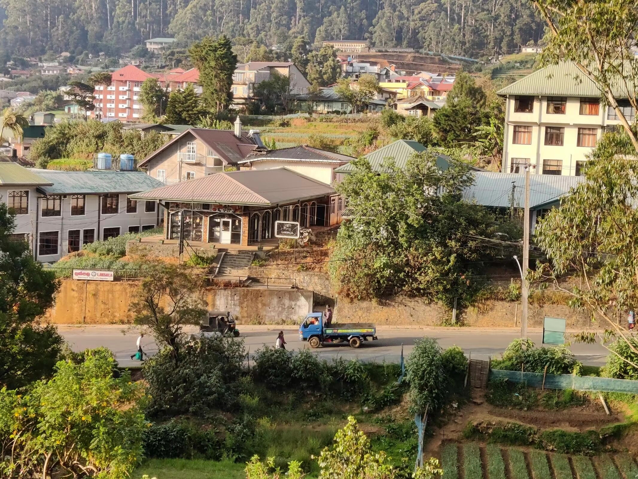 斯里兰卡:走进黄昏的努瓦勒埃利耶,感受风情万种的"小英格兰"