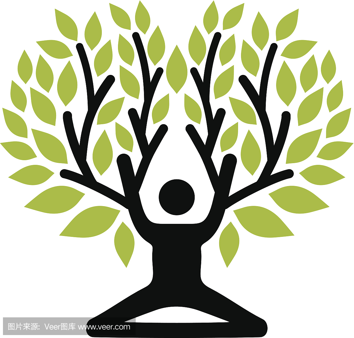 基层选调"树"式成长法则:扎根,汲取,成才