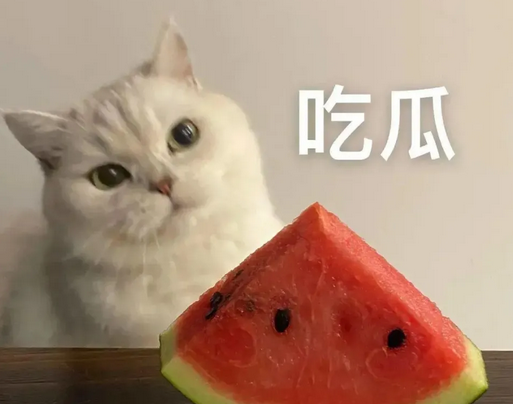 墨心纹画视频流出情况最新消息，墨心纹画人龙珠女朋友发生什么事