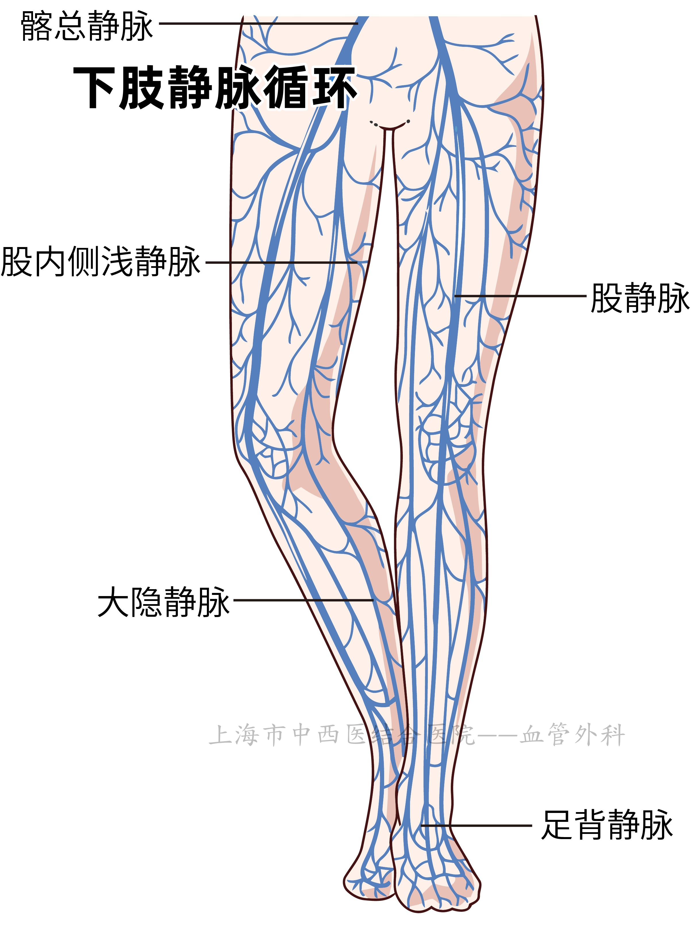 「健康科普」下肢静脉造影全攻略:检查前必知的n件事!