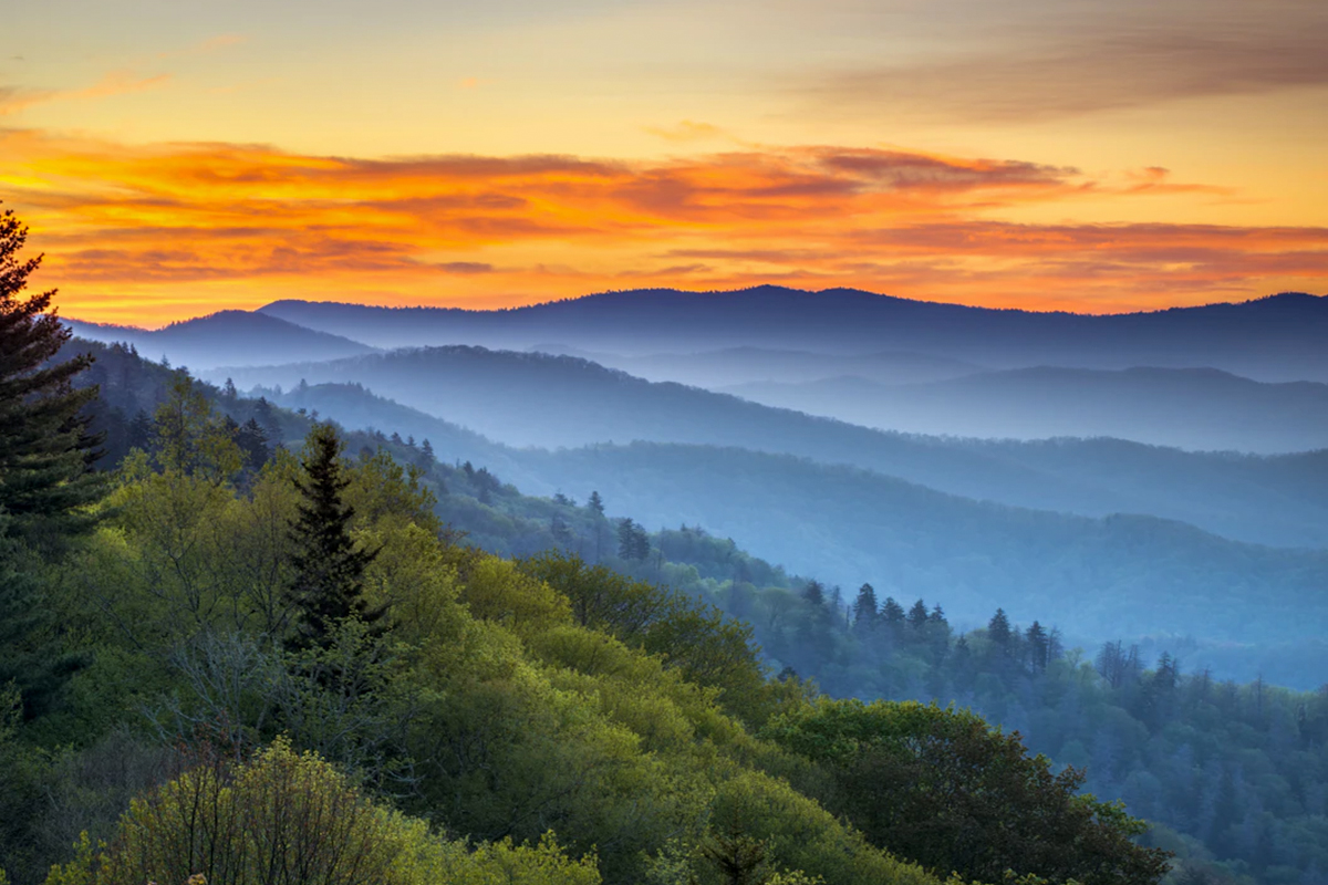 蓝雾秘境:探索美国大烟山国家公园