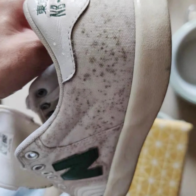 鞋子发霉用什么洗掉霉斑