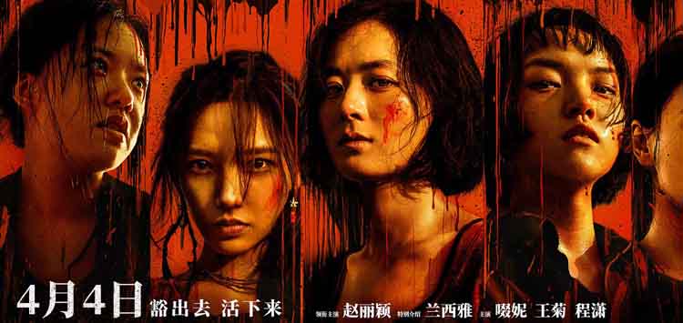 冯小刚的塑料向阳花