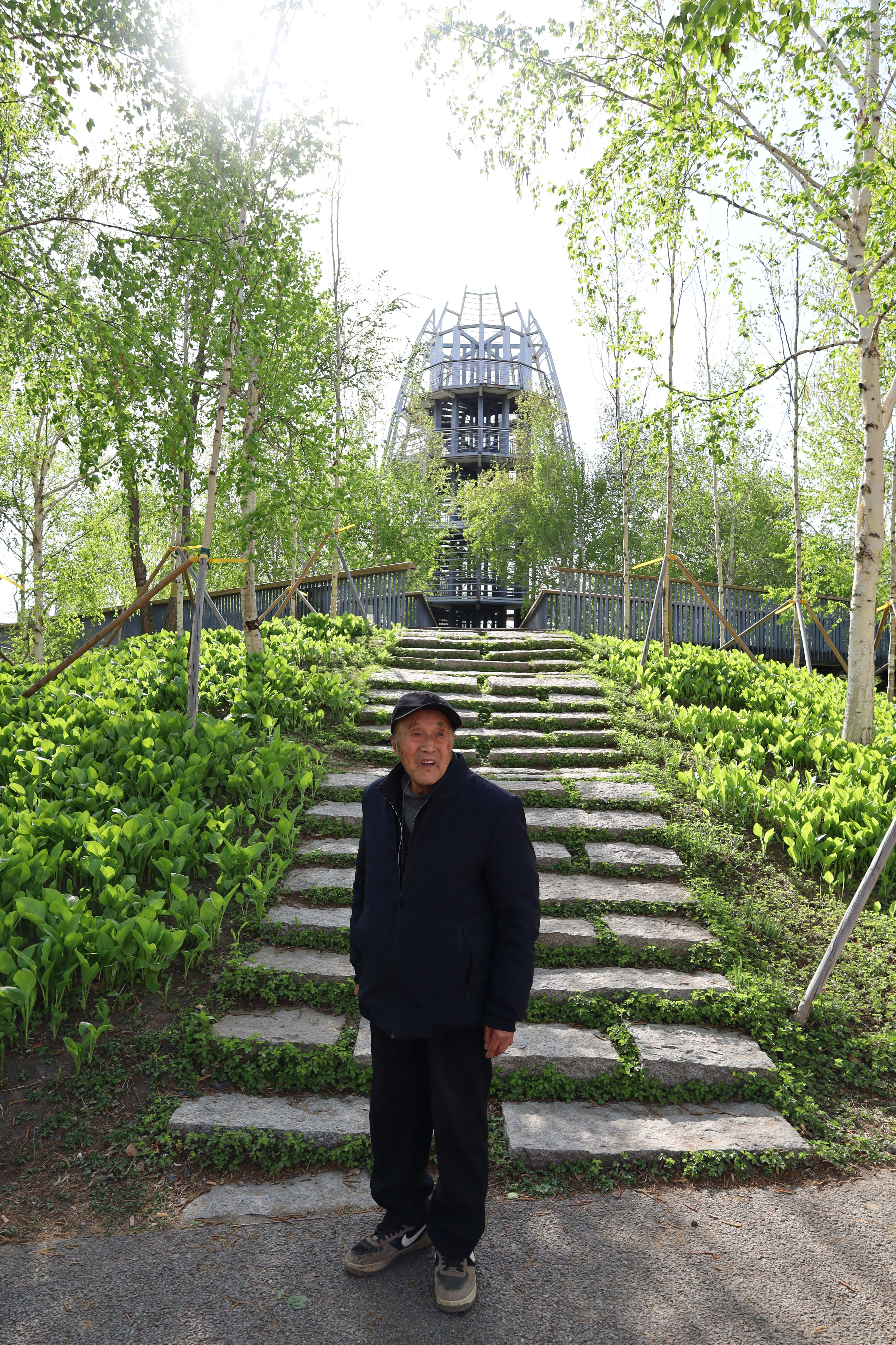 《爷爷走起》第六十六站—群力城市湿地公园,与湿地的不解之缘