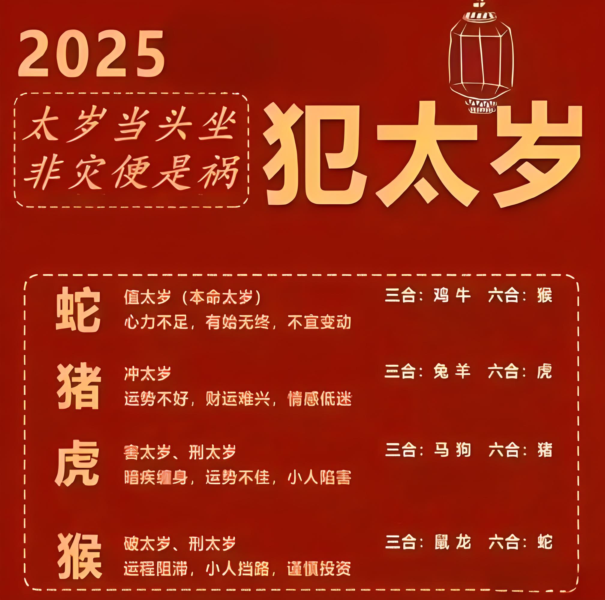明年生肖蛇女的运势(明年生肖蛇女的运势怎么样)