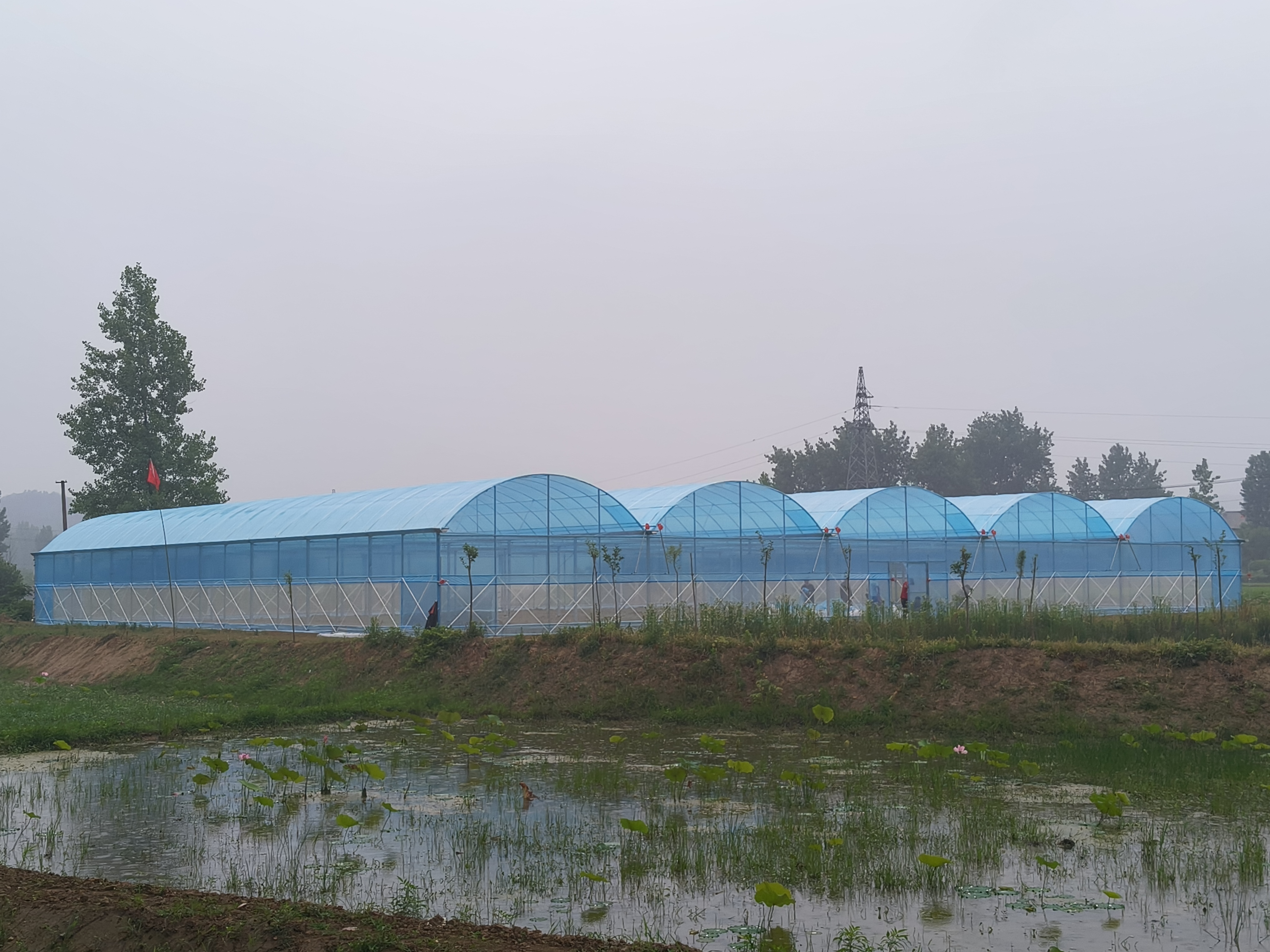 信阳光山县连栋薄膜大棚施工案例