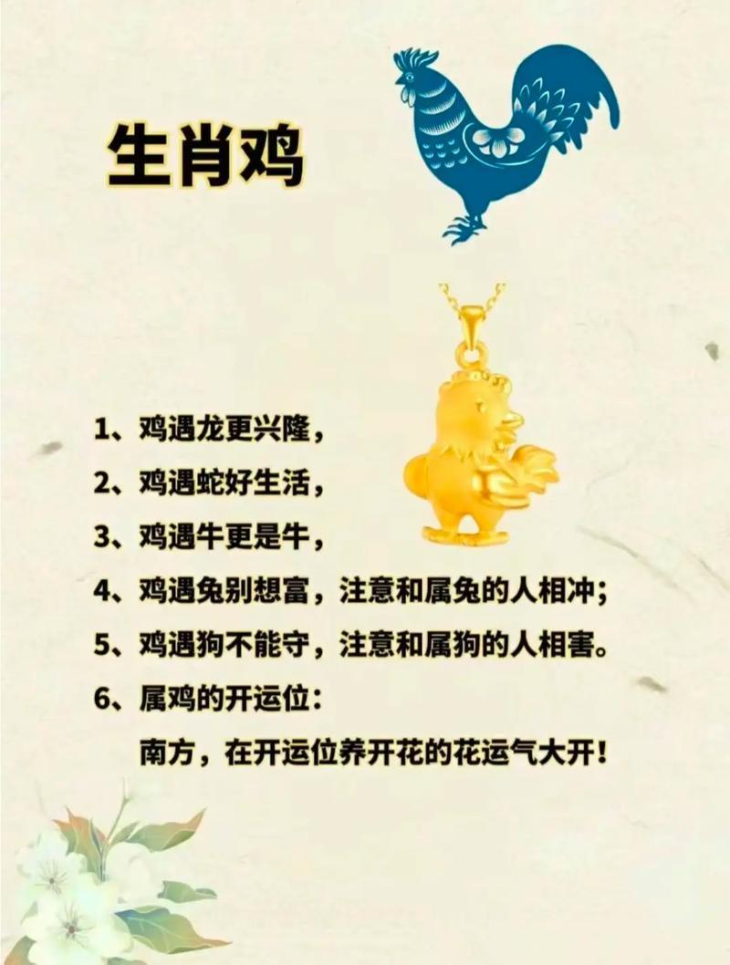 明年生肖鸡运势大全(明年生肖鸡运程)