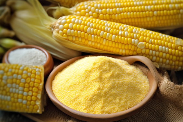 二,玉米淀粉1. 生产过程玉米淀粉(corn starch)