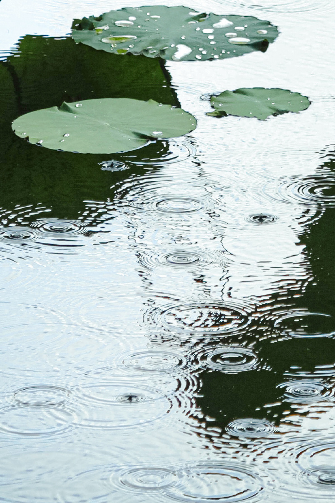 天可汗(23)唐朝的封建之议2