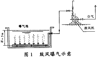 风机曝气量对降解cod