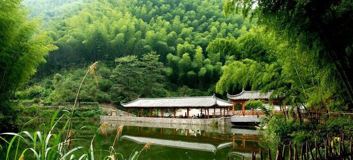 木坑竹海:清凉宁静的避暑胜境