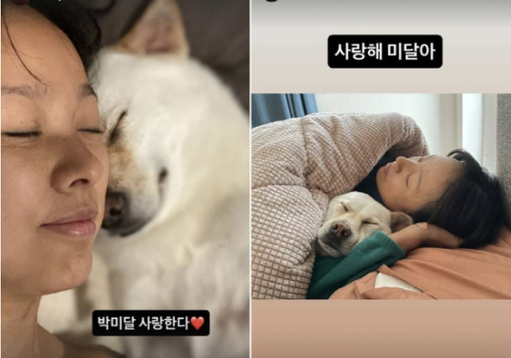 李孝利晒与绝症爱犬相拥照：最不听话的瞬间，藏着最深的爱