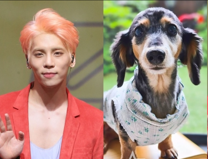 SHINee已故成员钟铉爱犬离世 陪伴15年画下句点，粉丝泪崩：又一次告别