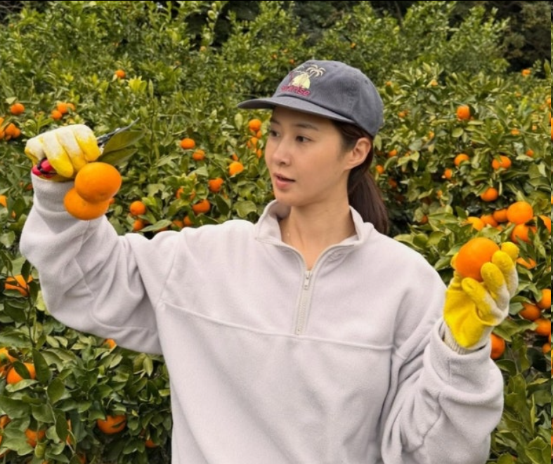少女时代俞利变身济州“橘子西施”，亲自采摘柑橘回馈粉丝