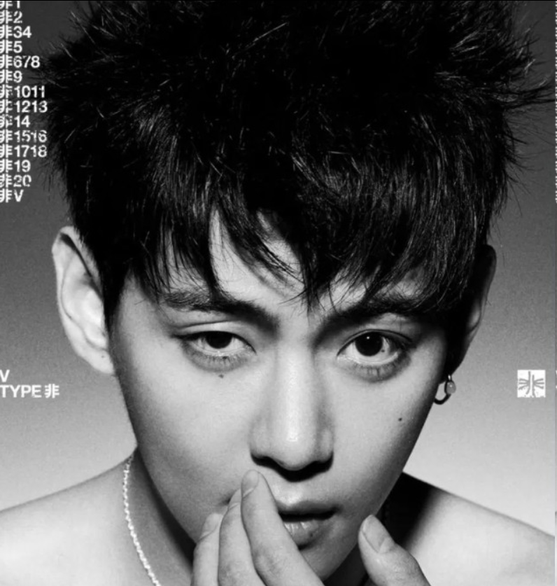 BTS V金泰亨新写真集《TYPE 非》预告公开，揭秘2026年回归首份惊喜