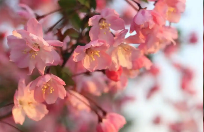 躲春为什么不能睡觉？立春躲春指南，看完这篇你就懂了！