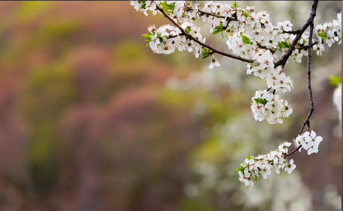 今年几点打春具体时间，立春是2026的几月几日几点几分？ 