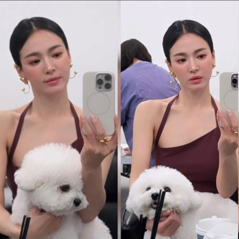 宋慧乔公开最新画报幕后，红裙配红唇怀抱萌宠显优雅