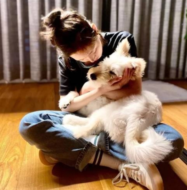 金高恩痛别患犬“月儿”，曾主动领养先天残疾流浪狗