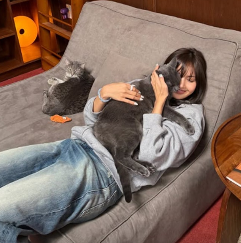 不理分手传闻！LISA素颜卫衣窝沙发，与爱猫同框状态绝佳破谣言