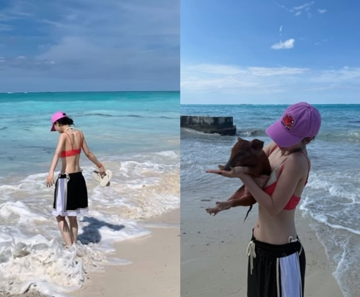 Karina巴哈马度假美照大放送！红衫粉帽秀蚂蚁腰，怀抱小猪画面太治愈