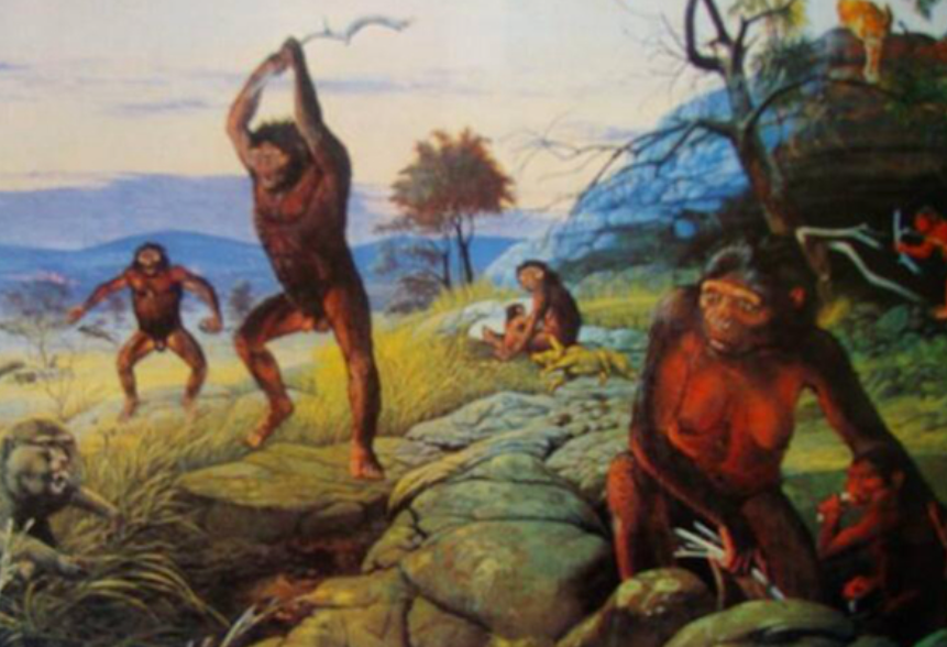 人类交配会有快感,但分娩却十分痛苦,真是自然进化的最优解吗?