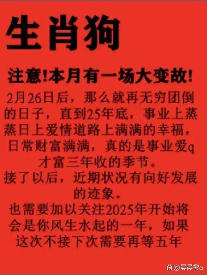 1982生肖狗的人一生运势(1982年属狗一生运势及运程有几道坎)