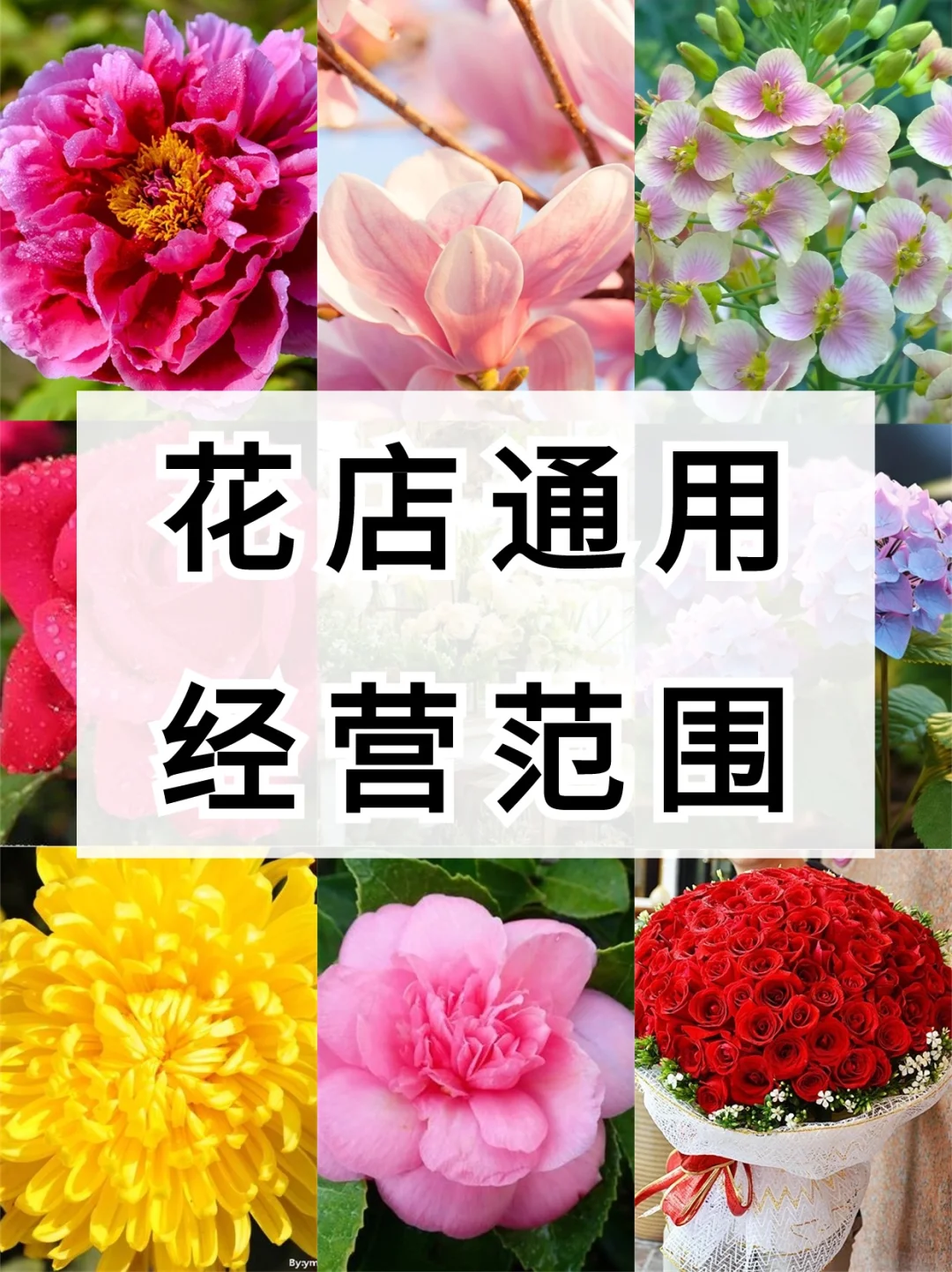 花店经营范围图片