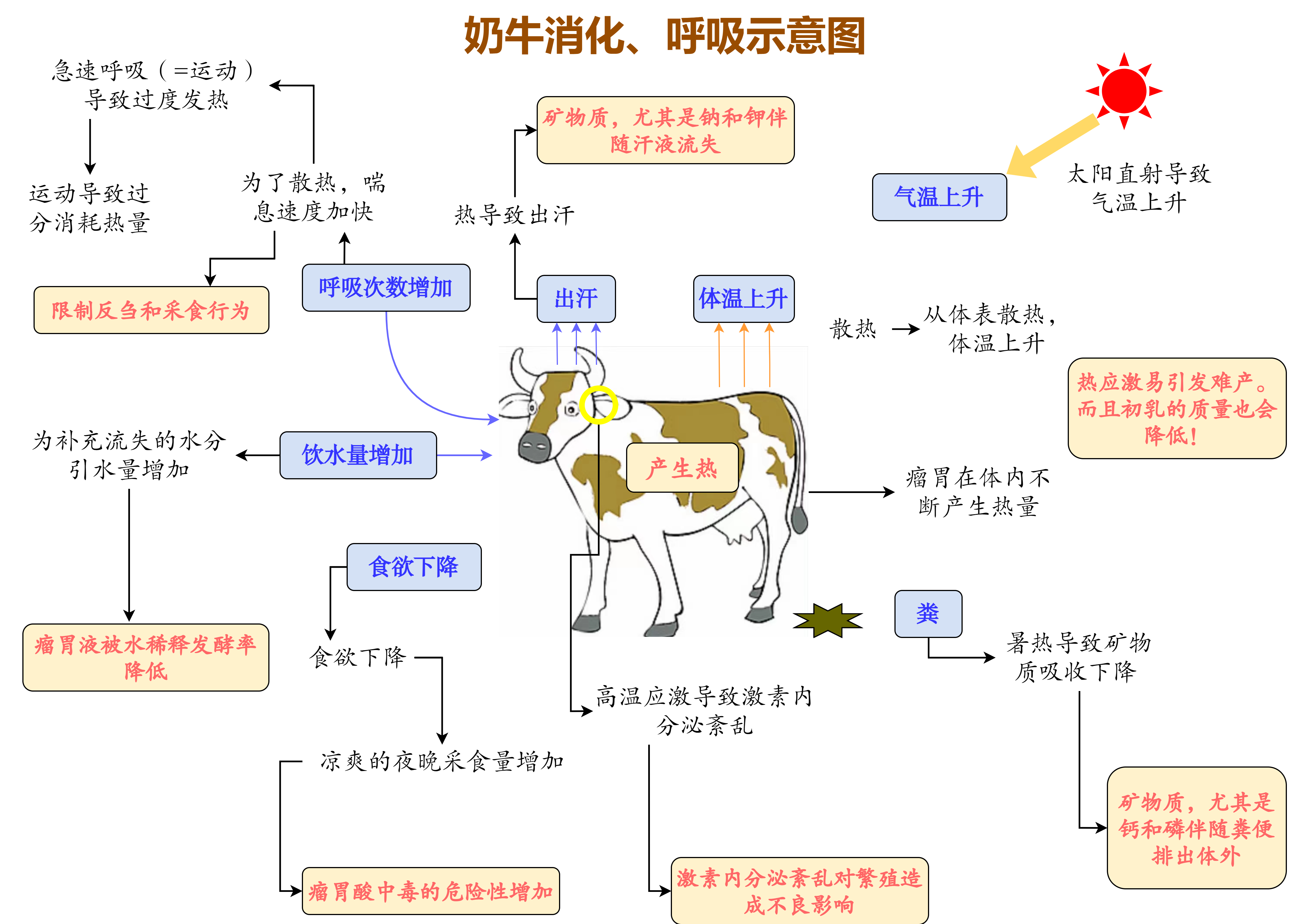 腔肠动物呼吸方式图片