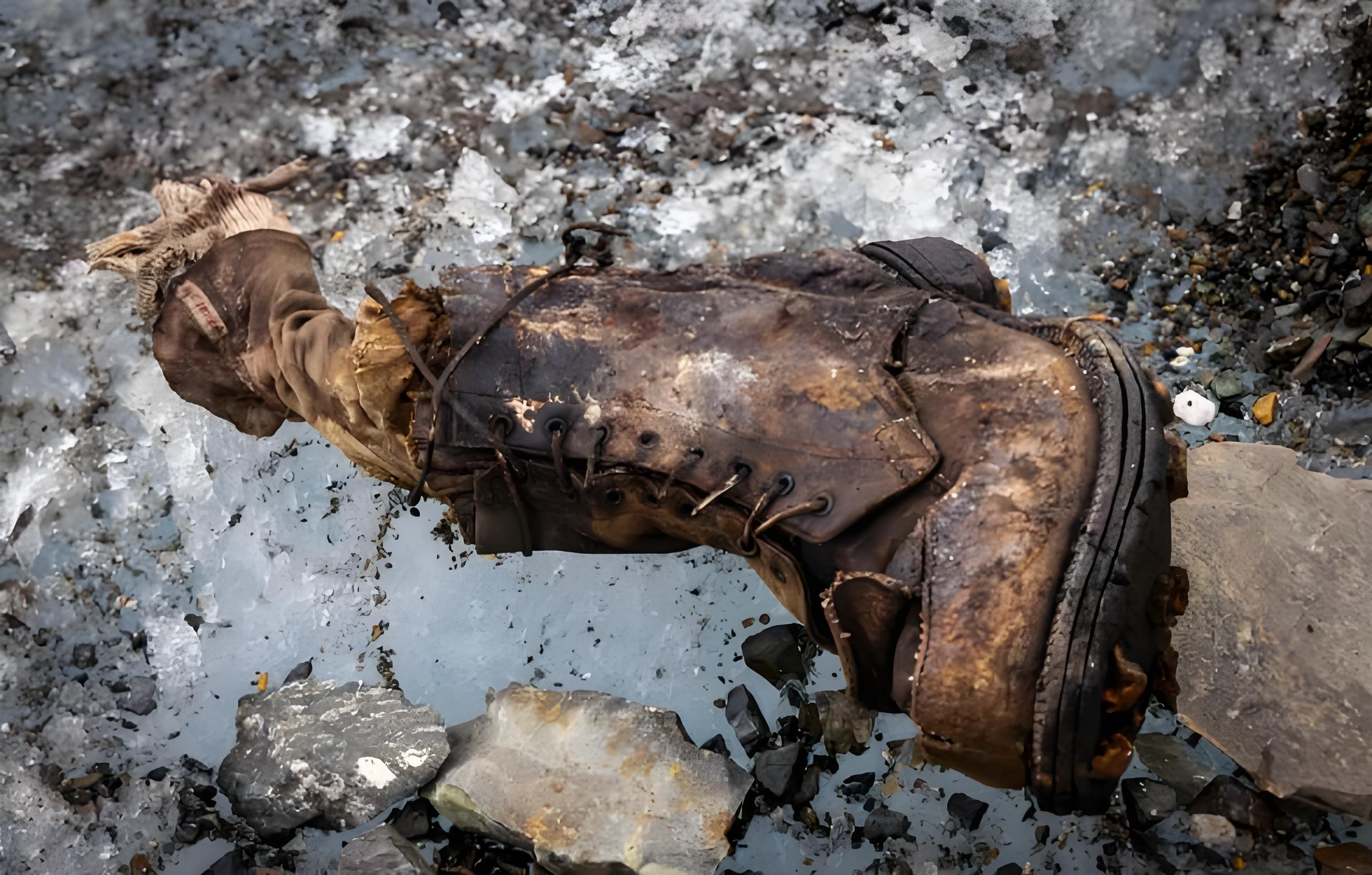 26岁日本男子下山时被棕熊拖走