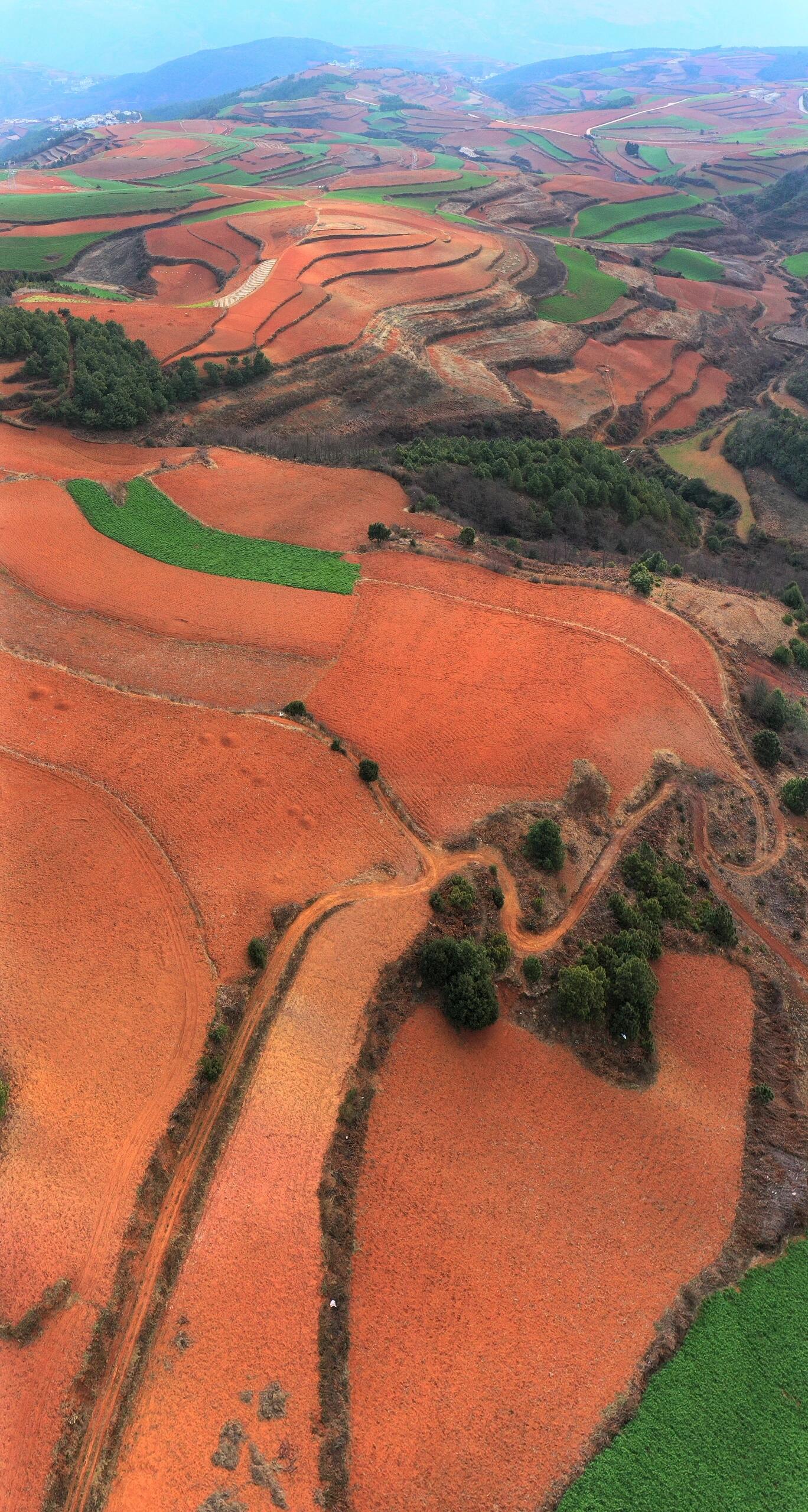 云南东川红土地照片图片