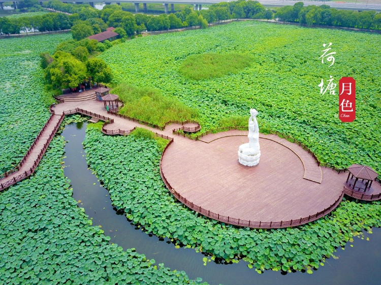 郑州黄河国家湿地公园图片