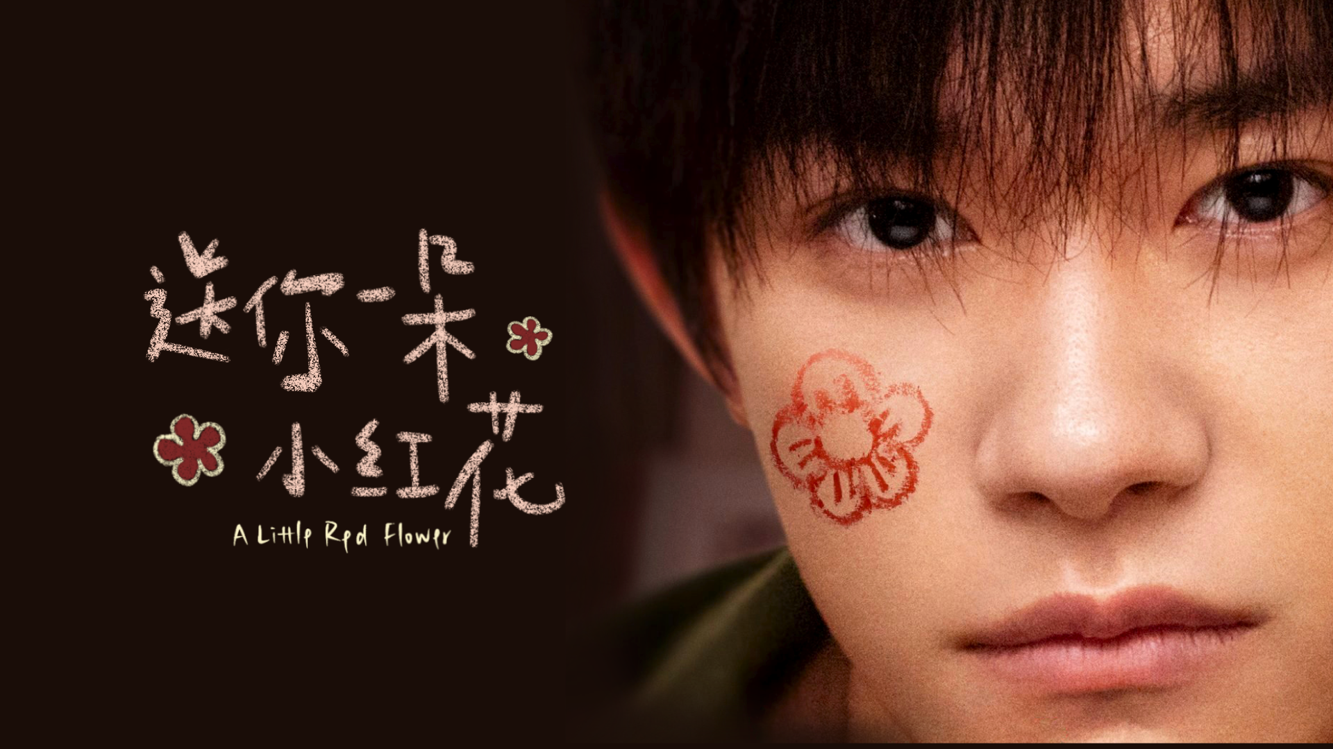 "送你一朵小红花"观后感:抗癌路上,你我同行!