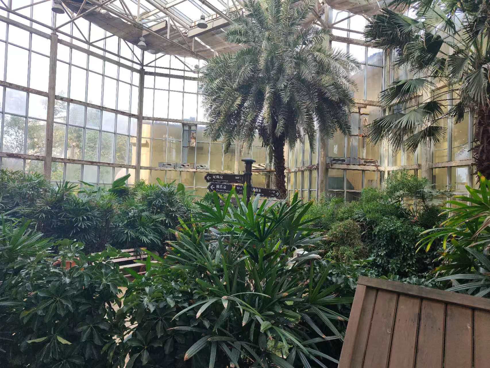 天津团泊湖温泉中心适合一家老小一天休闲游的地方