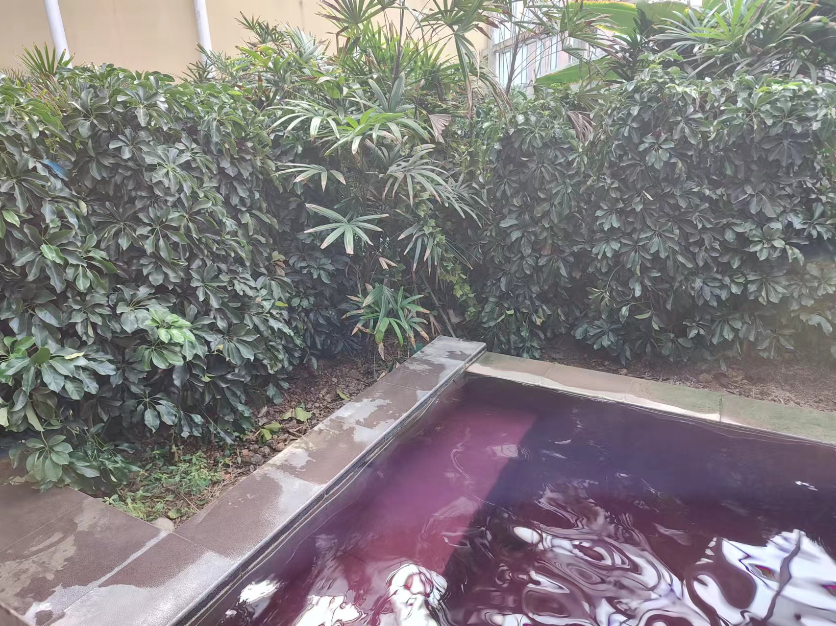 天津团泊湖温泉中心适合一家老小一天休闲游的地方