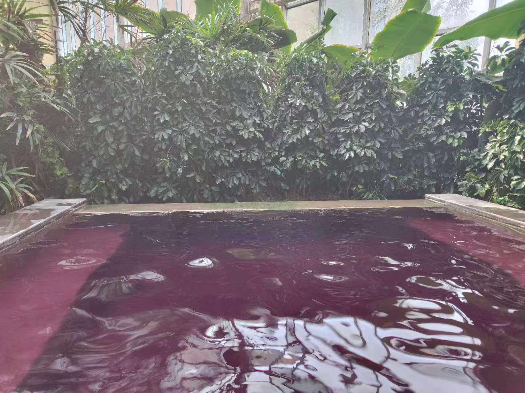 天津团泊湖温泉中心适合一家老小一天休闲游的地方