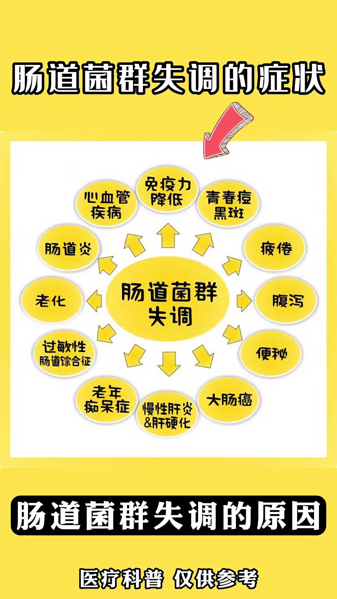 —李女士的肠道菌群之旅与体内的微观世界战争