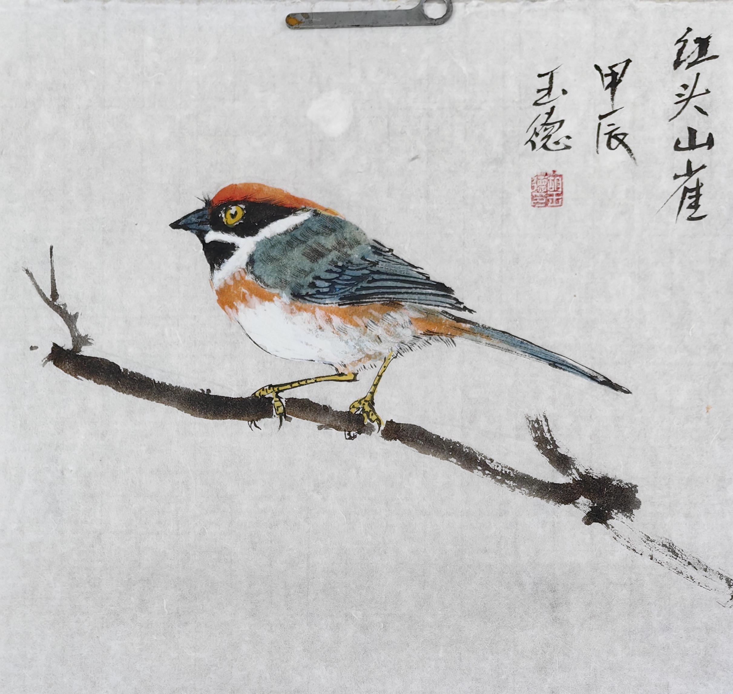 红头长尾山雀国画小写意