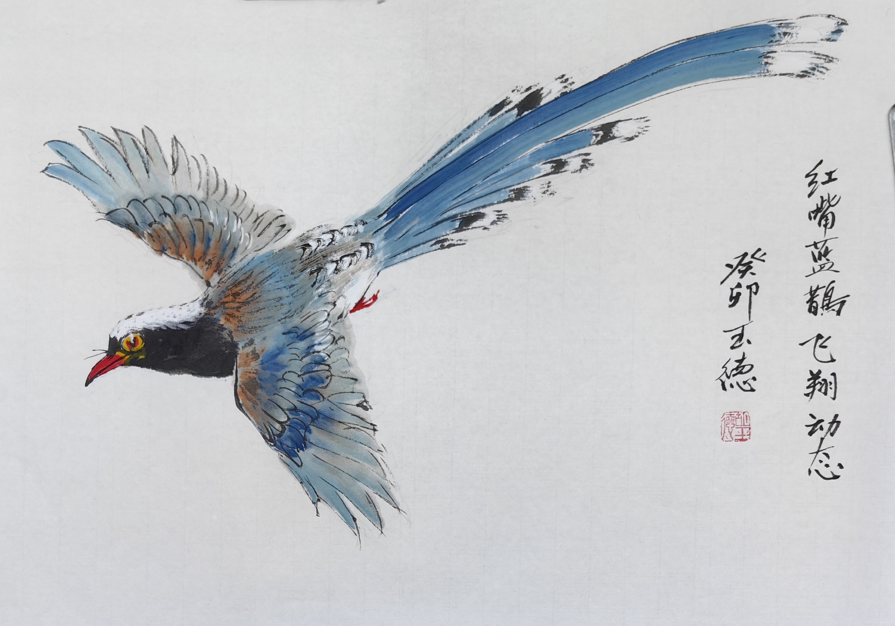 红嘴蓝鹊国画小写意