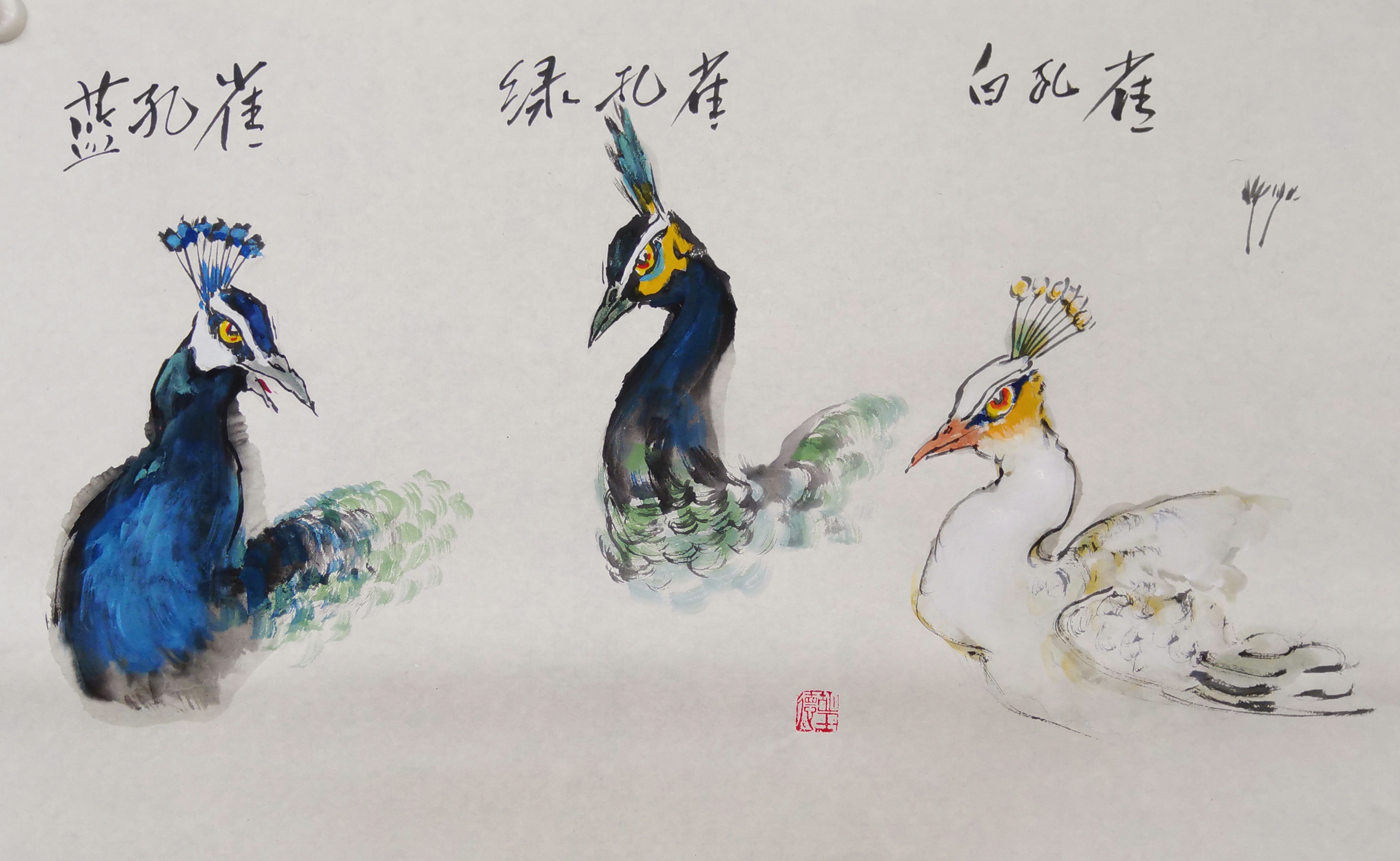 孔雀国画基础技法课稿