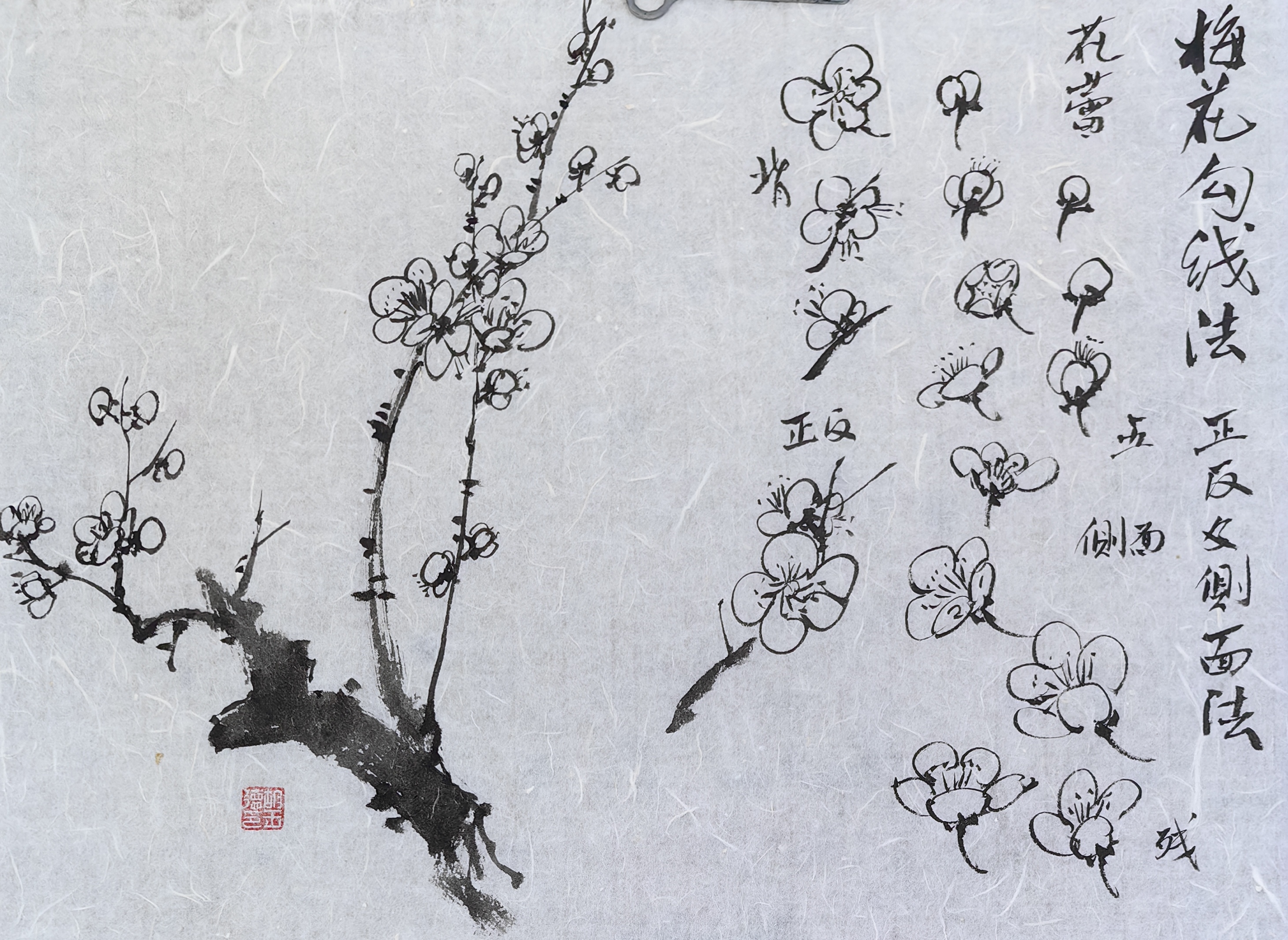 梅花国画小写意作品集——胡玉德老师课稿