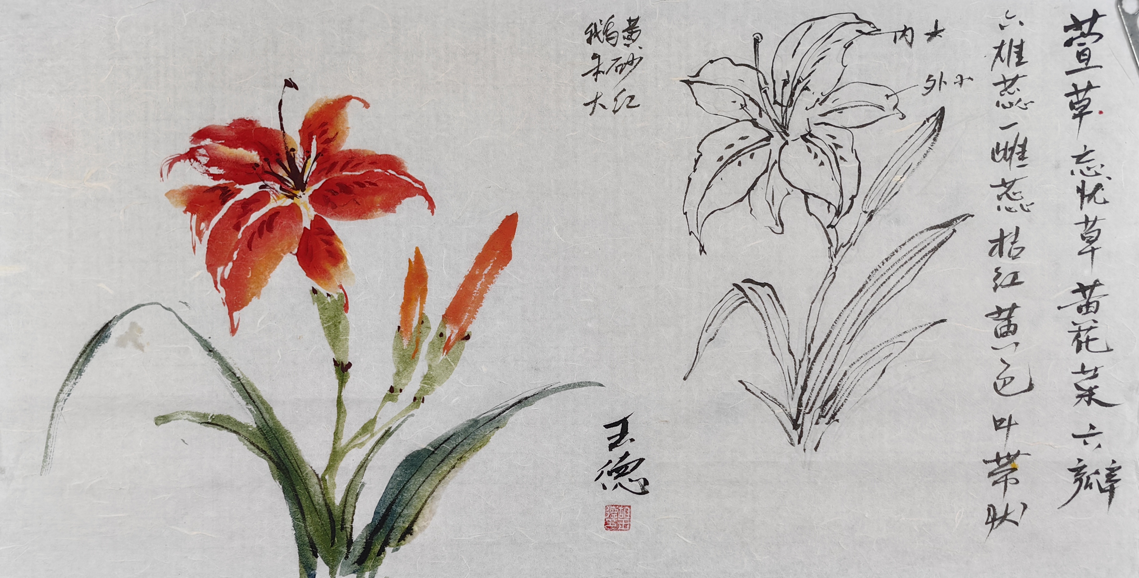 忘忧草(萱草)国画小写意集