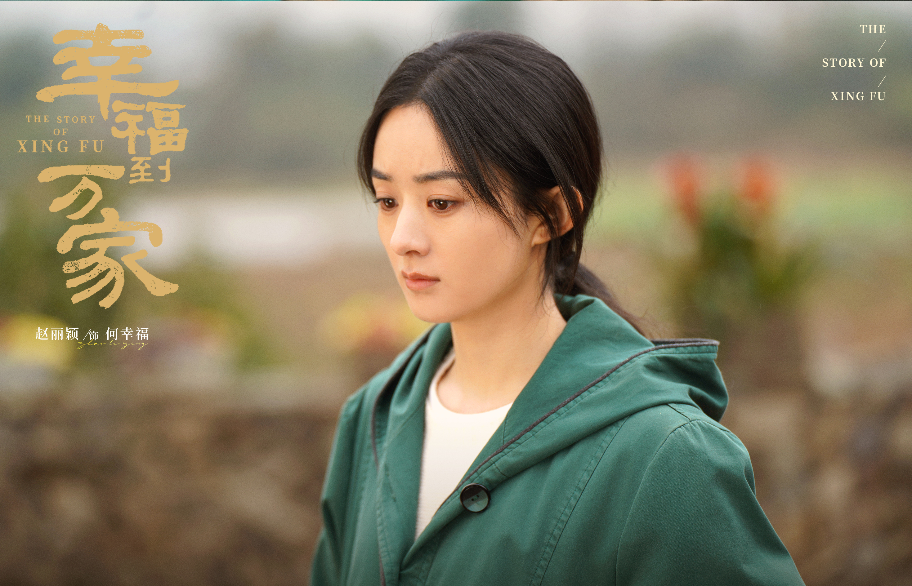 央视镜头下的赵丽颖:从田野到荧屏,以坚韧书写励志篇章