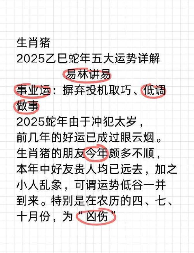 2025各生肖运势猪(猪2025年运势完整版)