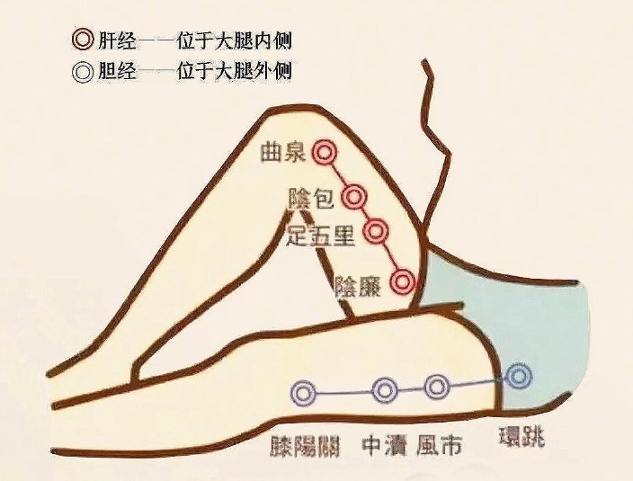 每天拍打胆经 100 下，中医推荐肝胆调理法，帮你疏通经络促代谢