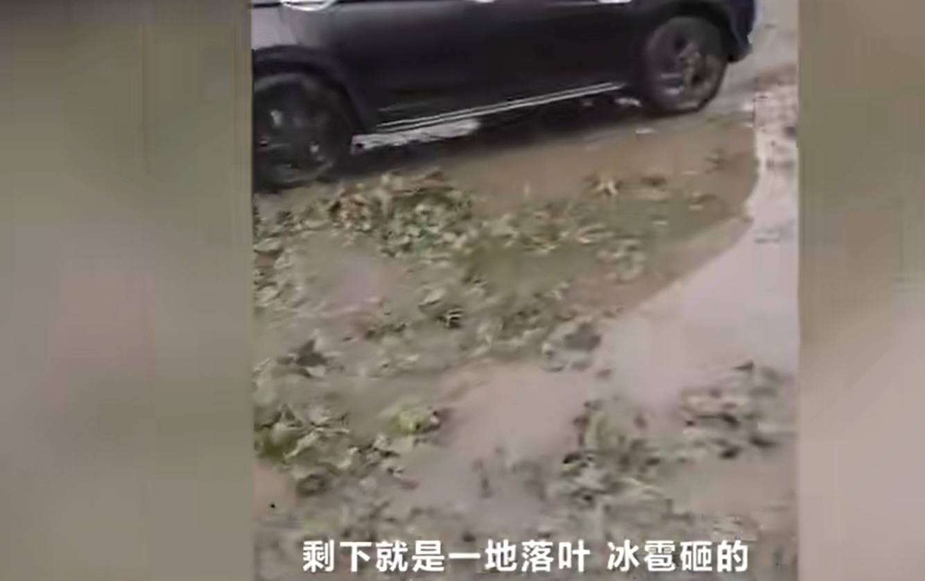 保定遭遇罕见鸡蛋大小冰雹袭击,居民深感震撼