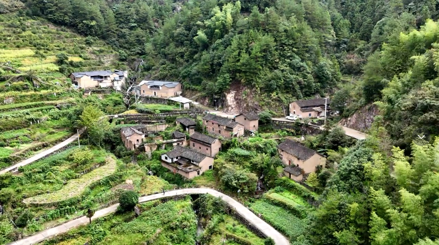 丽水即将消失的古村,黄墙青瓦颇有韵味,留守老人才是最大赢家