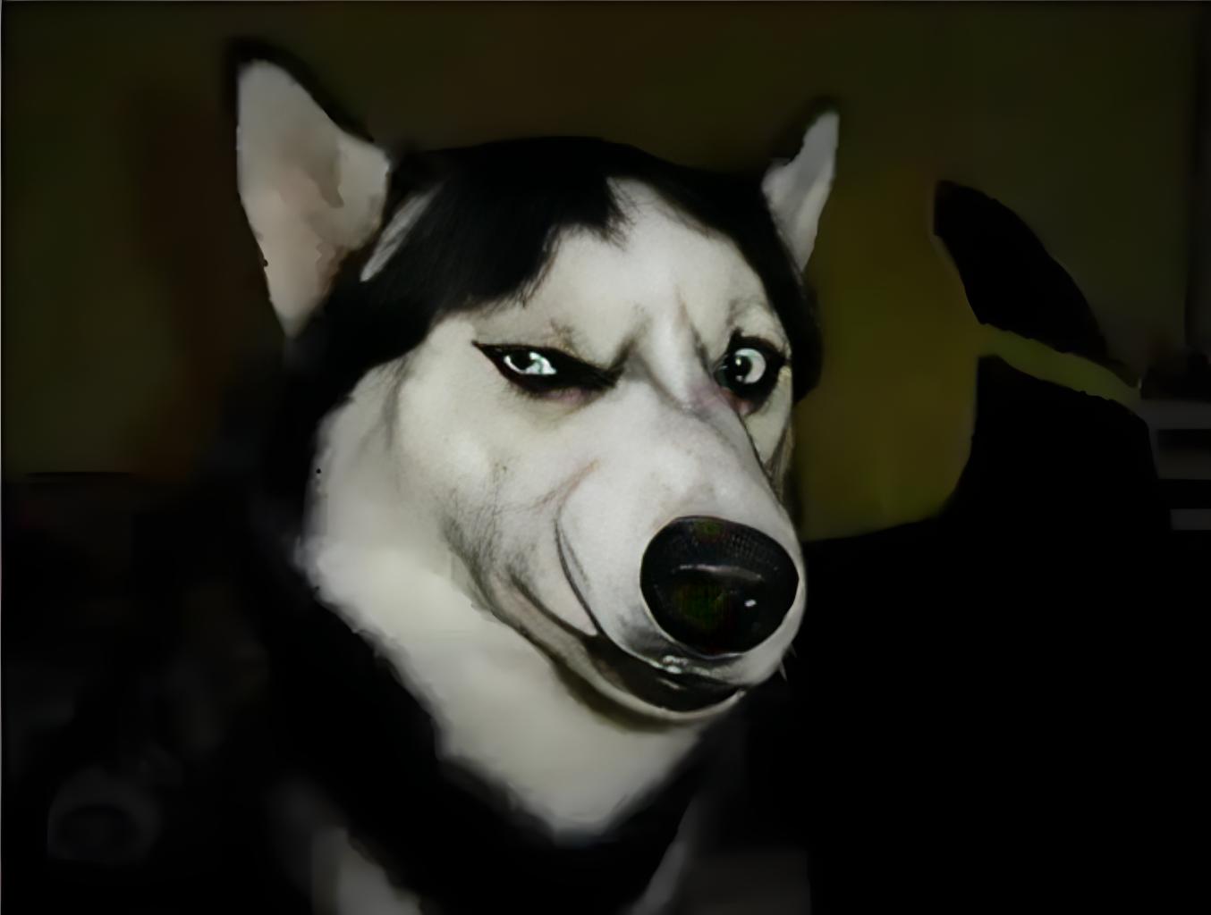 "二哈"的沙雕日常总是能逗得人哈哈大笑,可当你看着它疯狂拆家时,是否