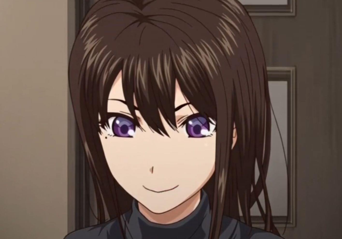 后宫狂热动漫OVA番剧视频讲的什么,学园的惩罚执行者